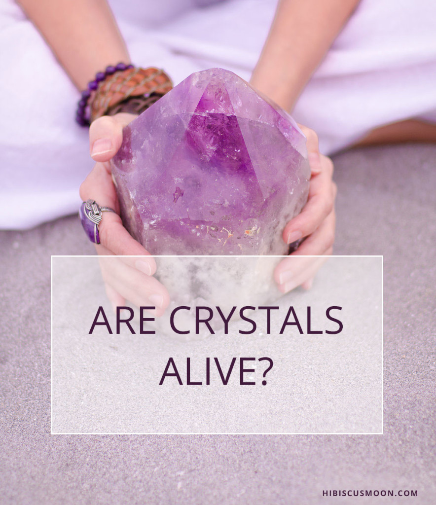 are-crystals-alive