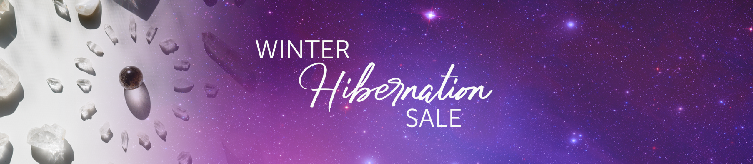 Winter-Hibernation-Sale-Banner