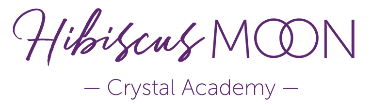 Hibiscus Moon Crystal Academy Logo