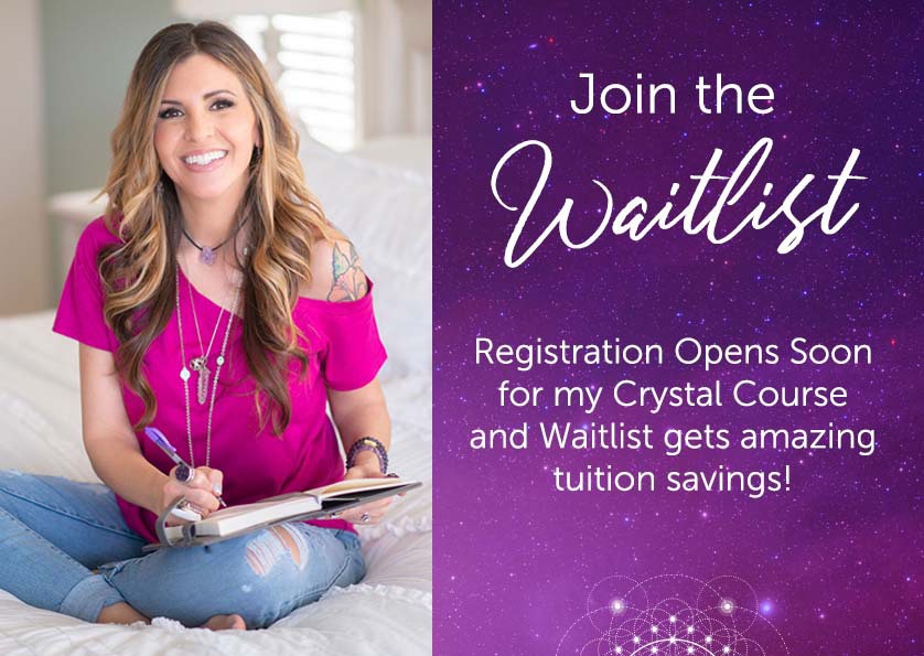 Join the Waitlist